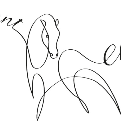 Guêtres De Protection Cheval Classic Equine – Paire Noire Taille 12CE – Modèle Sécurité