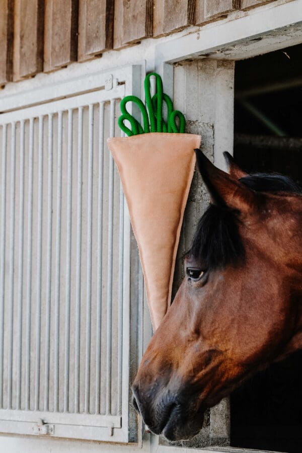 Jouet pour chevaux carotte - Hippotonic