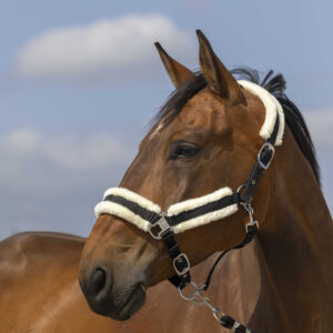 Licol nylon mouton - Equithéme