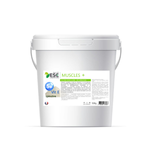 Muscle + - ESC Laboratoire
