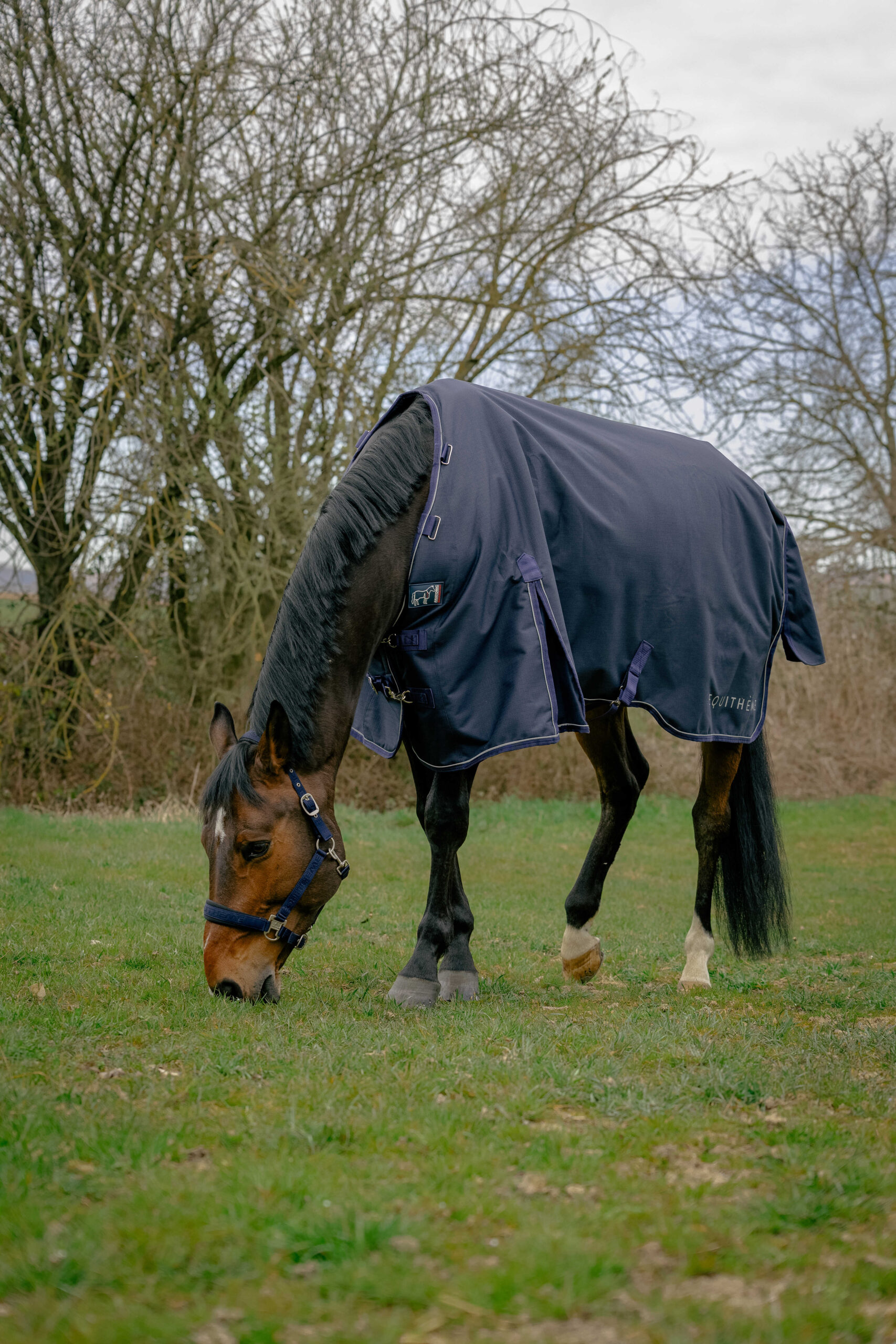 Couverture d'exterieur 0g anatomic - Equithéme