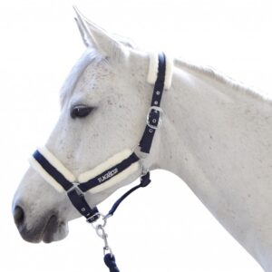 Licol + longe Velta rouge - Flags and cup