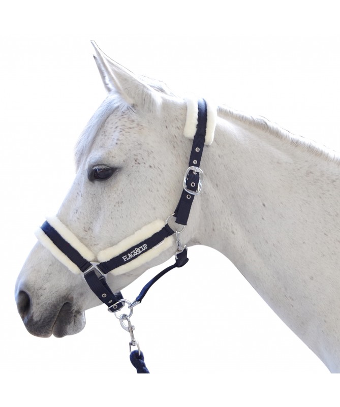 Licol + longe Velta rouge - Flags and cup