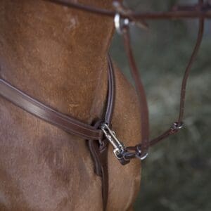 Collier de chasse Norton Pro