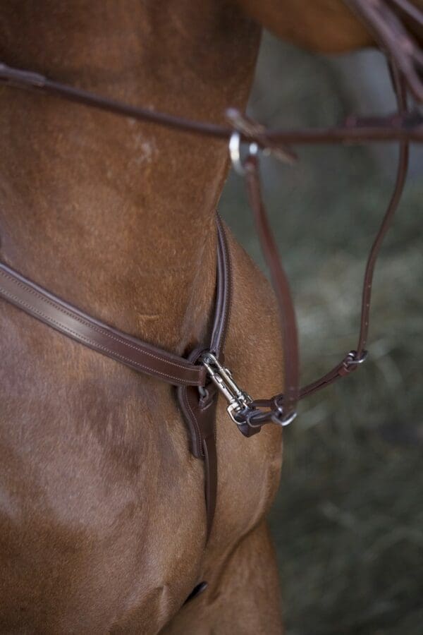 Collier de chasse Norton Pro