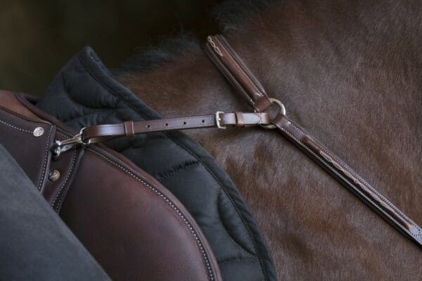 Collier de chasse Norton Pro