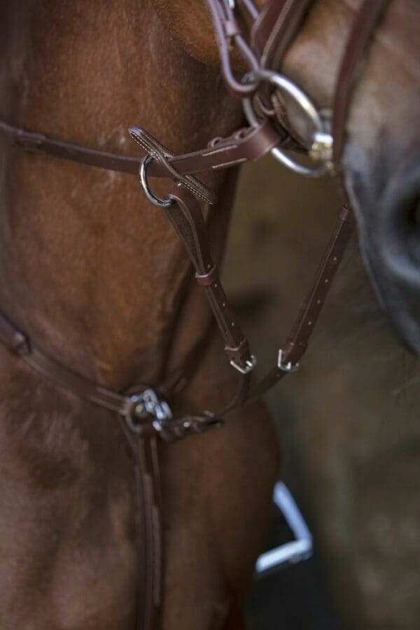 Collier de chasse Norton Pro