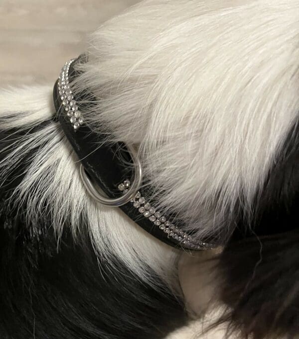 Collier pour chien à strass
