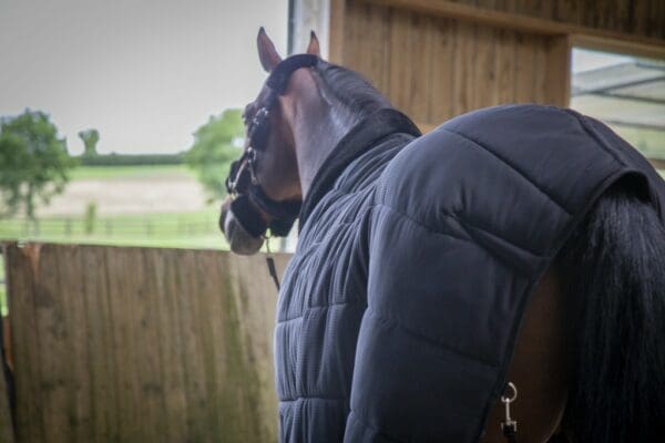 Sous couverture Paddock