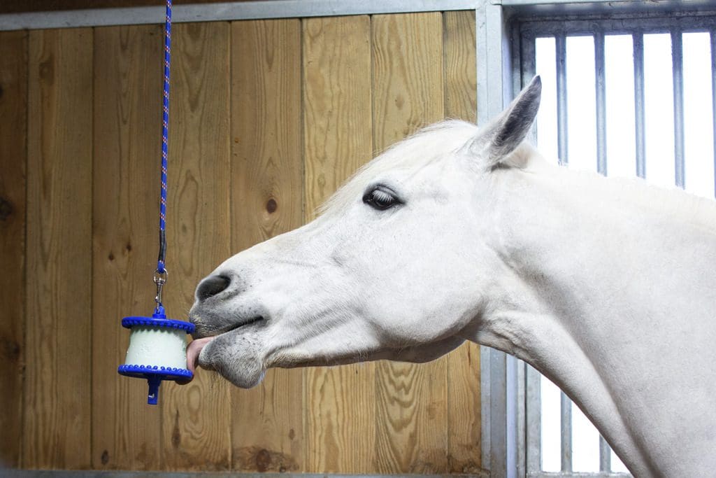 Likit Barre pour Cheval