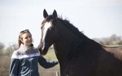 La castration chez le cheval