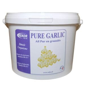 Ail Semoule REKOR