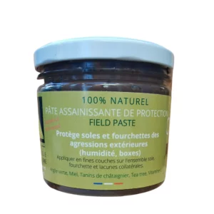 Fields paste pâte assainissante - 067