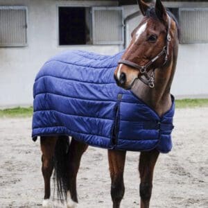 Liner de couverture Classic Equithéme 200G