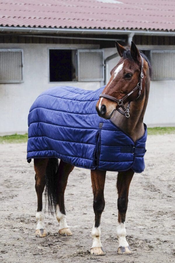 Liner de couverture Classic Equithéme 200G