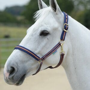 Licol Dublin Halter Marine/Orange - Bucas