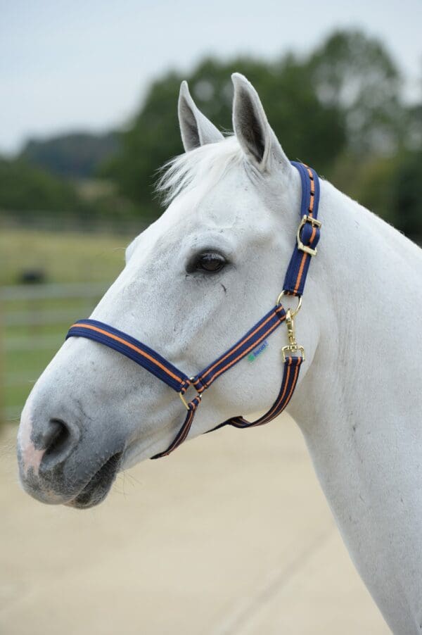 Licol Dublin Halter Marine/Orange - Bucas