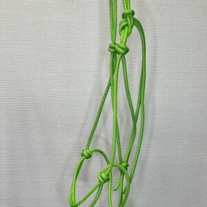Licol éthologique vert cheval