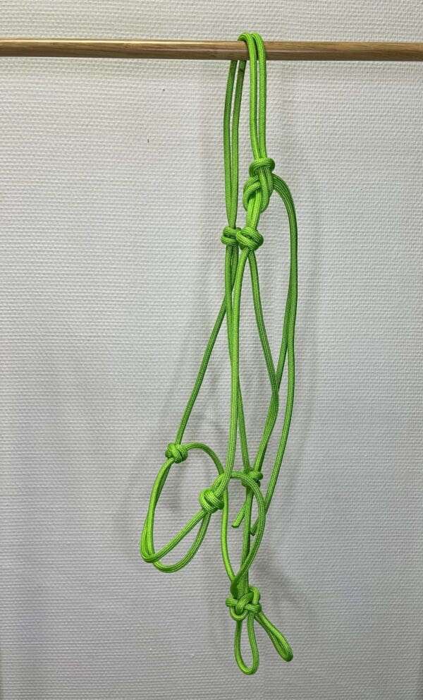 Licol éthologique vert cheval