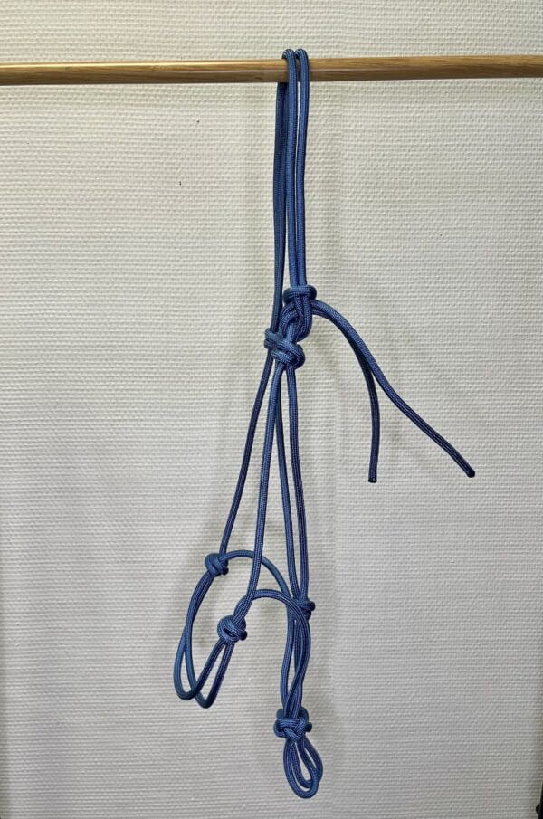 Licol éthologique bleu taille Cob