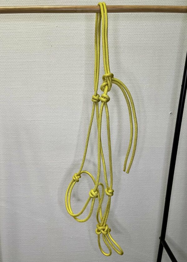 Licol éthologique jaune taille cheval