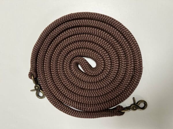 Rênes éthologique marron