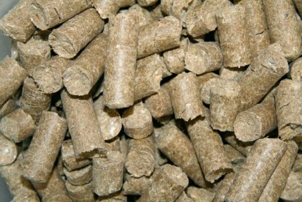 Friandises Delizia – Image 6