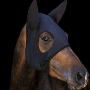 Masque en titanium avec oreilles - Lamicell