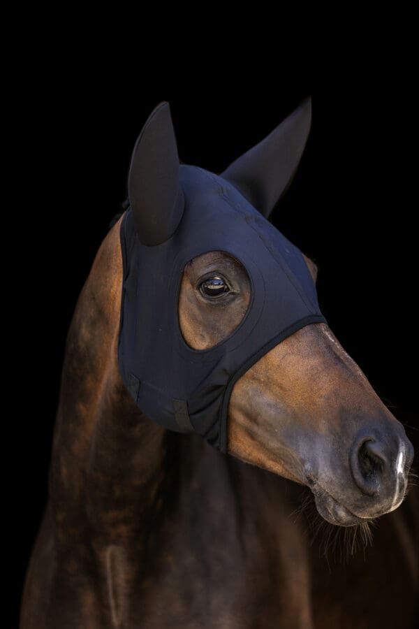 Masque en titanium avec oreilles - Lamicell