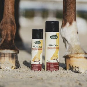 Pedicade - Ravene