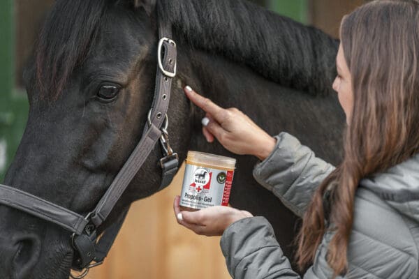Gel Propolis first aid - LEOVET – Image 2