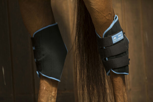 Protége jarrets Ice boots - Lamicell