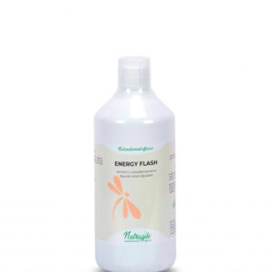 Energy flash - Nutragile