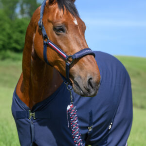 Licol + longe marine - Tommy hilfiger equestrian