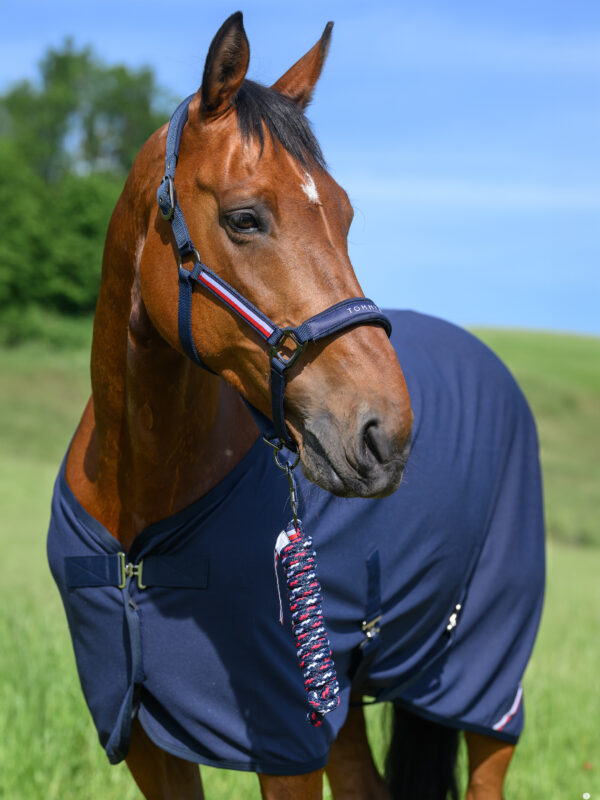 Licol + longe marine - Tommy hilfiger equestrian