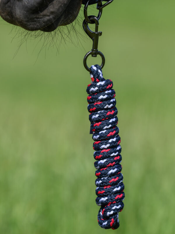 Licol + longe olive - Tommy hilfiger equestrian – Image 2
