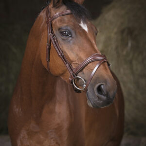 Bridon Vague marron - Norton pro
