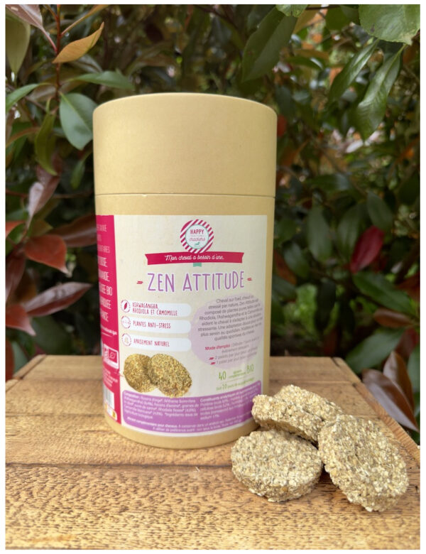 Zen attitude - Happy crackers