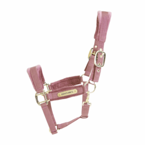 Licol velvet 3 coloris cheval - Kentucky