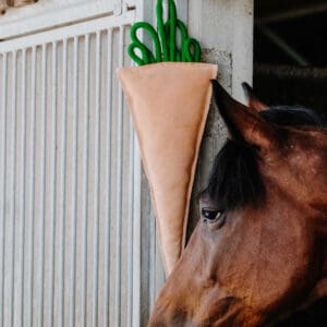 Jouet pour chevaux carotte - Hippotonic