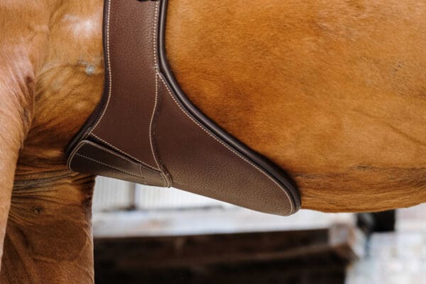 Sangle bavette Magnet marron - Norton pro