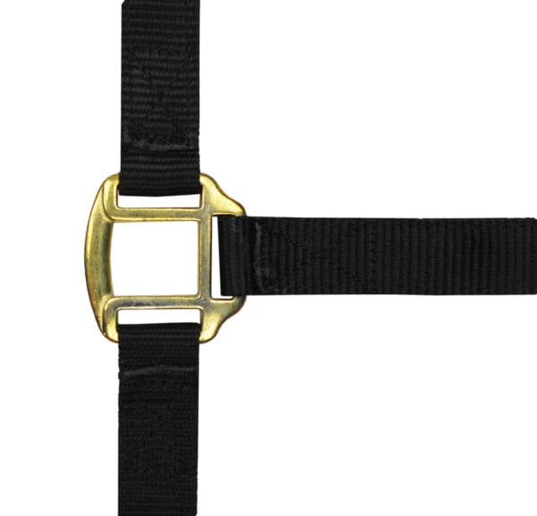 Licol nylon doublé cuir - Norton – Image 2