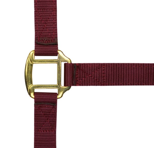 Licol nylon doublé cuir - Norton – Image 3