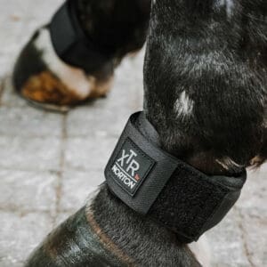 Protége paturon gel XTR taille cheval - Norton