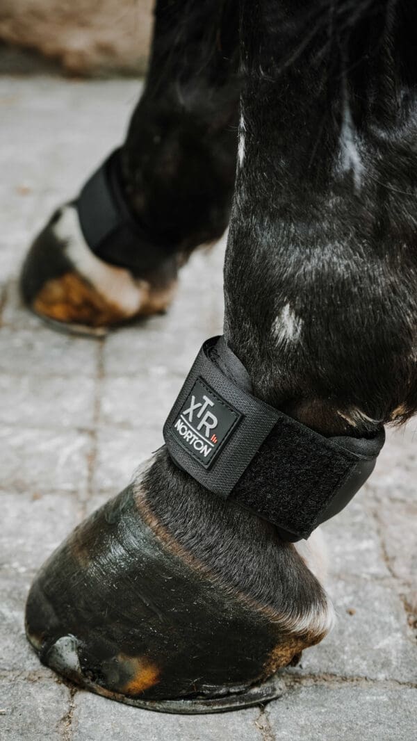 Protége paturon gel XTR taille cheval - Norton