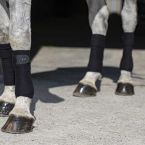 Bandes de polo eco - Riding world