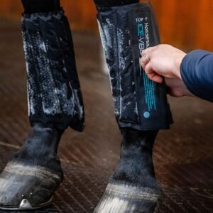 Pack de refroidissement ice vibe - Horseware