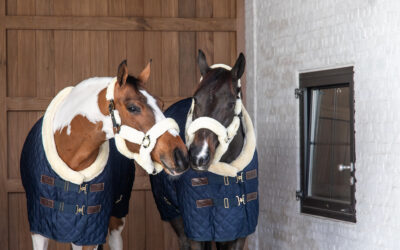 Kentucky horsewear