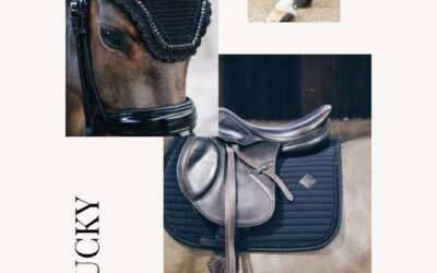 Look chic et intemporel – full noir