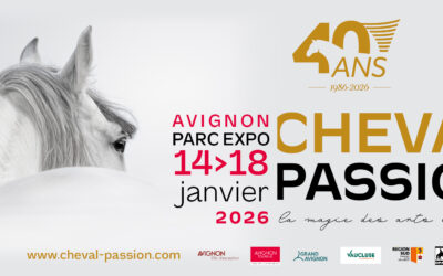 Salon du cheval d&rsquo;Avignon